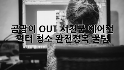 🌬️ 곰팡이 OUT! 서천군 에어컨 필터 청소 완전정복 꿀팁 🍯