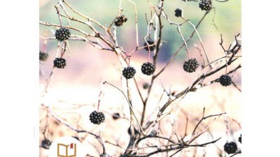 🌱 도서월간가드닝 솔직 후기! 할인 정보 & 꿀팁 대방출 🎁