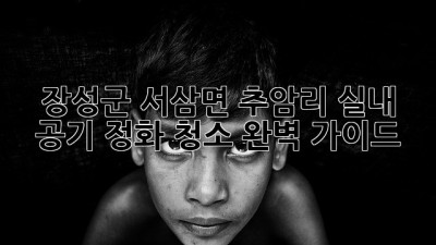 장성군 서삼면 추암리 실내 공기 정화 청소 완벽 가이드