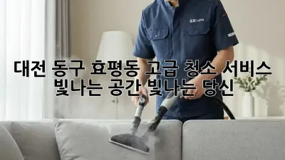 대전 동구 효평동 고급 청소 서비스: 빛나는 공간, 빛나는 당신